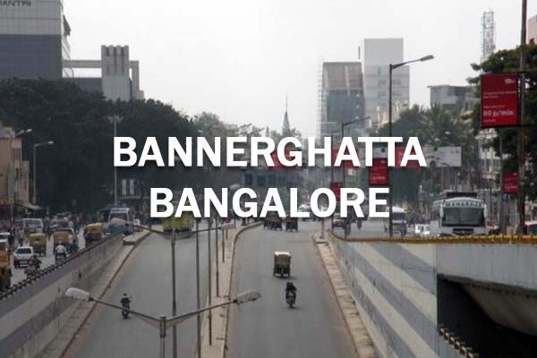 Call Girls in Bannerghatta Bangalore