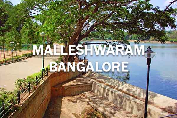 Call Girls in Malleshwaram Bangalore
